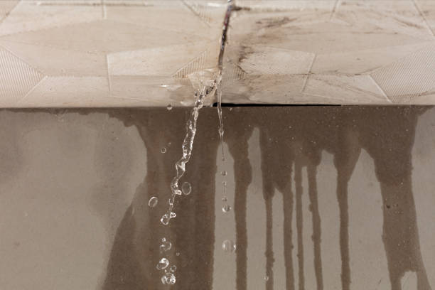 Professional Burst Pipe Cleanup technician working in Crescent City, FL